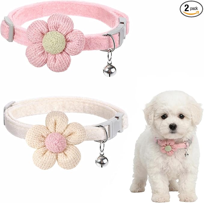 From Chewed to Chic: How a New Collar Can Transform Your ‘Wild Child’ into a Gentleman